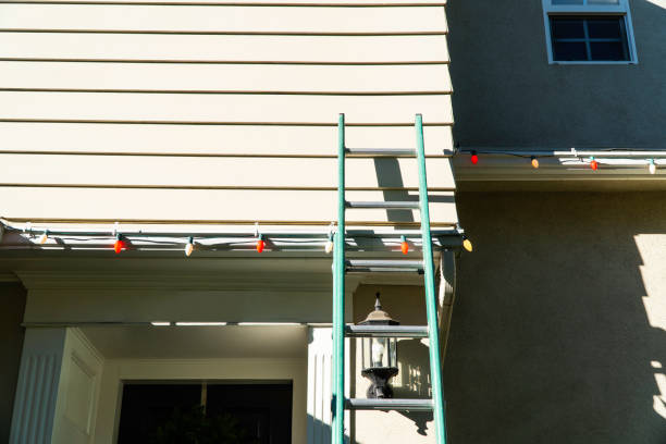 Best Vinyl Siding Installation  in Kill Devil Hills, NC