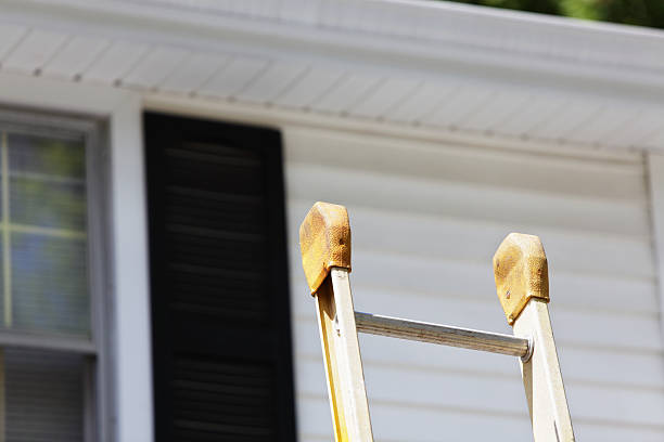 Best Siding Painting and Refinishing  in Kill Devil Hills, NC